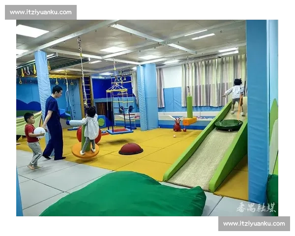 基于康复训练的多元化发展路径探索与实践应用分析